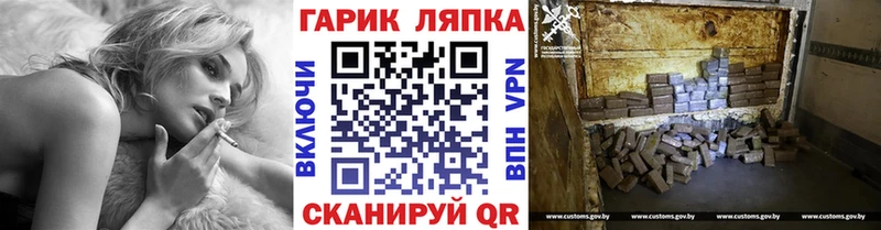 APVP Сальск