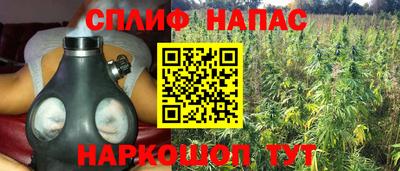 стаф Новокубанск