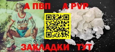 стаф Новокубанск